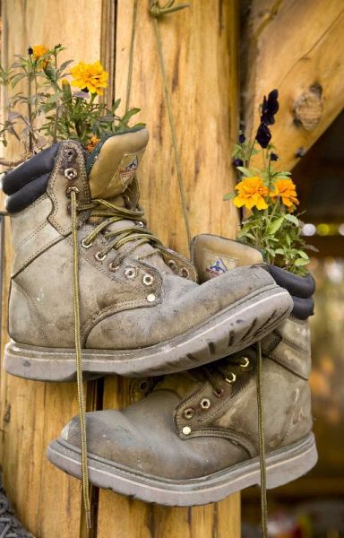 AK, Talkeetna Hiking boots planted with flowers